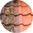 test modified